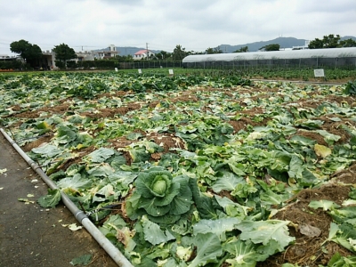 20141220_food14.jpg