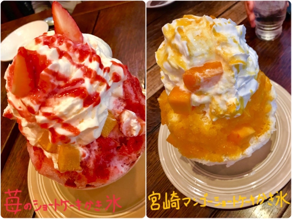 17年版 サンファソンのかき氷５種類を紹介するよ あさひん日記