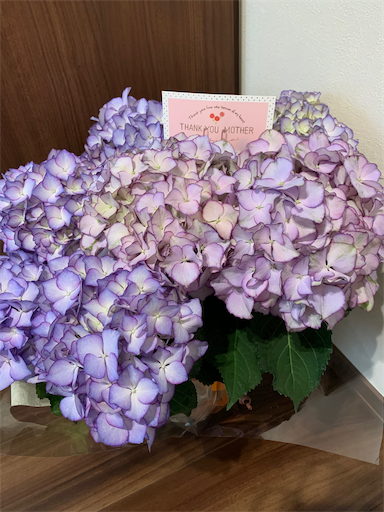 f:id:asahi11071005:20210505090509p:image f:id:asahi11071005:20210505090509p:image