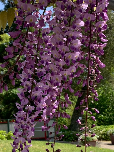 f:id:asahi11071005:20220422182411j:image f:id:asahi11071005:20220422182411j:image