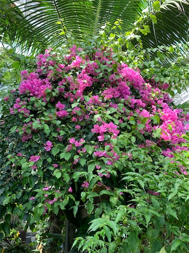 f:id:asahi11071005:20220422182732j:image f:id:asahi11071005:20220422182732j:image