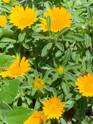 f:id:asahi11071005:20220602103622j:image