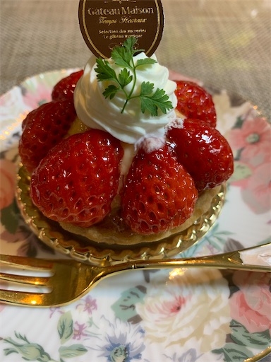 f:id:asahi11071005:20230304222208j:image f:id:asahi11071005:20230304222208j:image