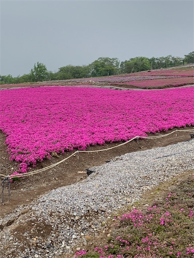f:id:asahi11071005:20230603005205j:image