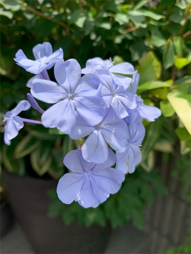 f:id:asahi11071005:20230607113919j:image