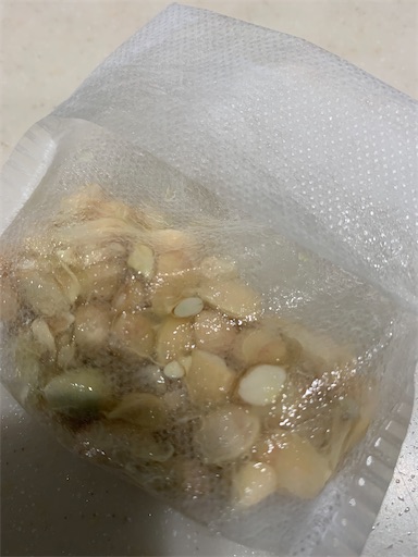 f:id:asahi11071005:20231213183502j:image f:id:asahi11071005:20231213183502j:image