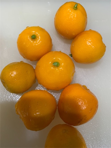 f:id:asahi11071005:20240107092352j:image