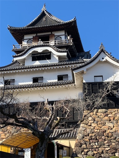 f:id:asahi11071005:20240217215321j:image f:id:asahi11071005:20240217215321j:image