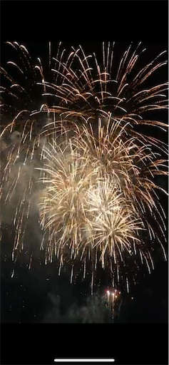 f:id:asahi11071005:20240807093359p:image f:id:asahi11071005:20240807093359p:image