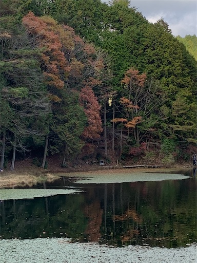 f:id:asahi11071005:20241123011748j:image