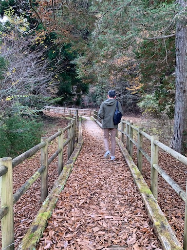 f:id:asahi11071005:20241123012150j:image