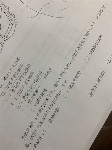 f:id:asahi11071005:20250328141744j:image