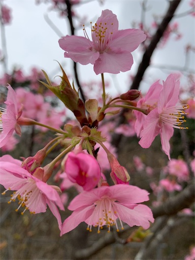 f:id:asahi11071005:20260227142625j:image