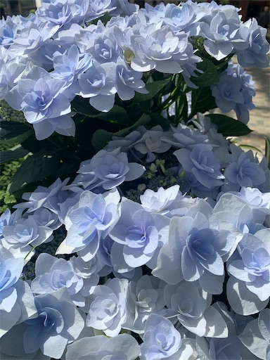 f:id:asahi11071005:20260413170953j:image