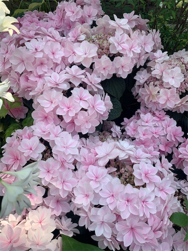 f:id:asahi11071005:20260413171056j:image