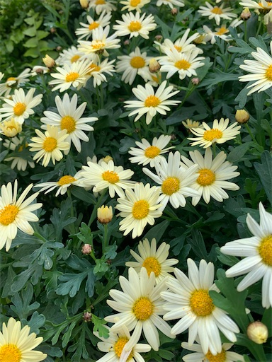 f:id:asahi11071005:20260413171156j:image