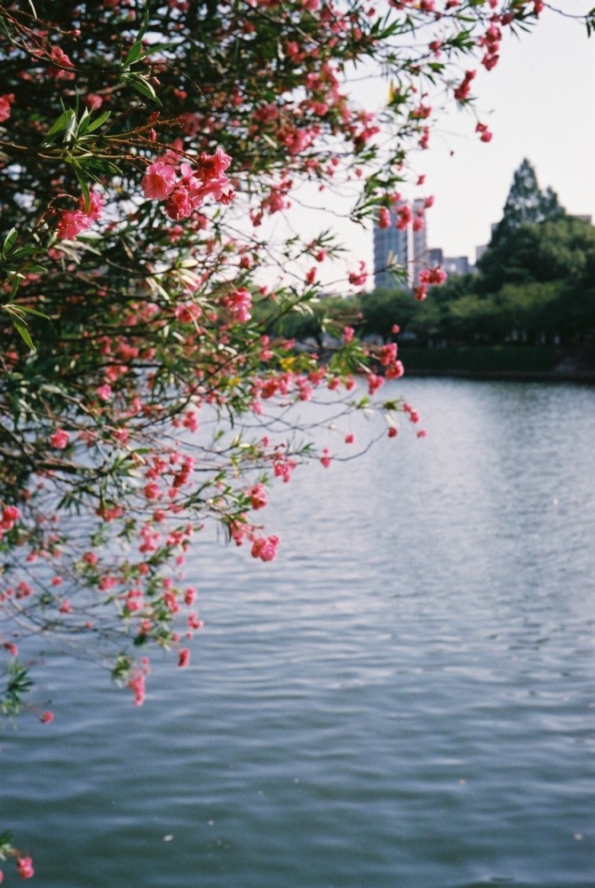 f:id:asahipontax:20181011112704j:plain