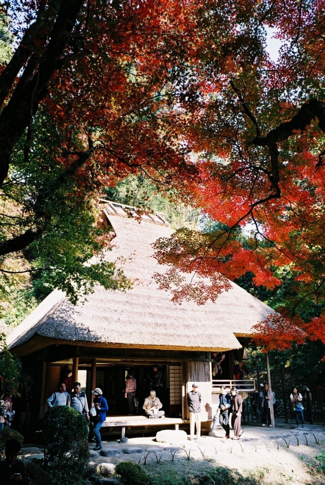 f:id:asahipontax:20181111200155j:plain f:id:asahipontax:20181111200155j:plain