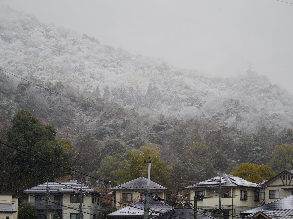 f:id:asahipontax:20190126102938j:plain f:id:asahipontax:20190126102938j:plain