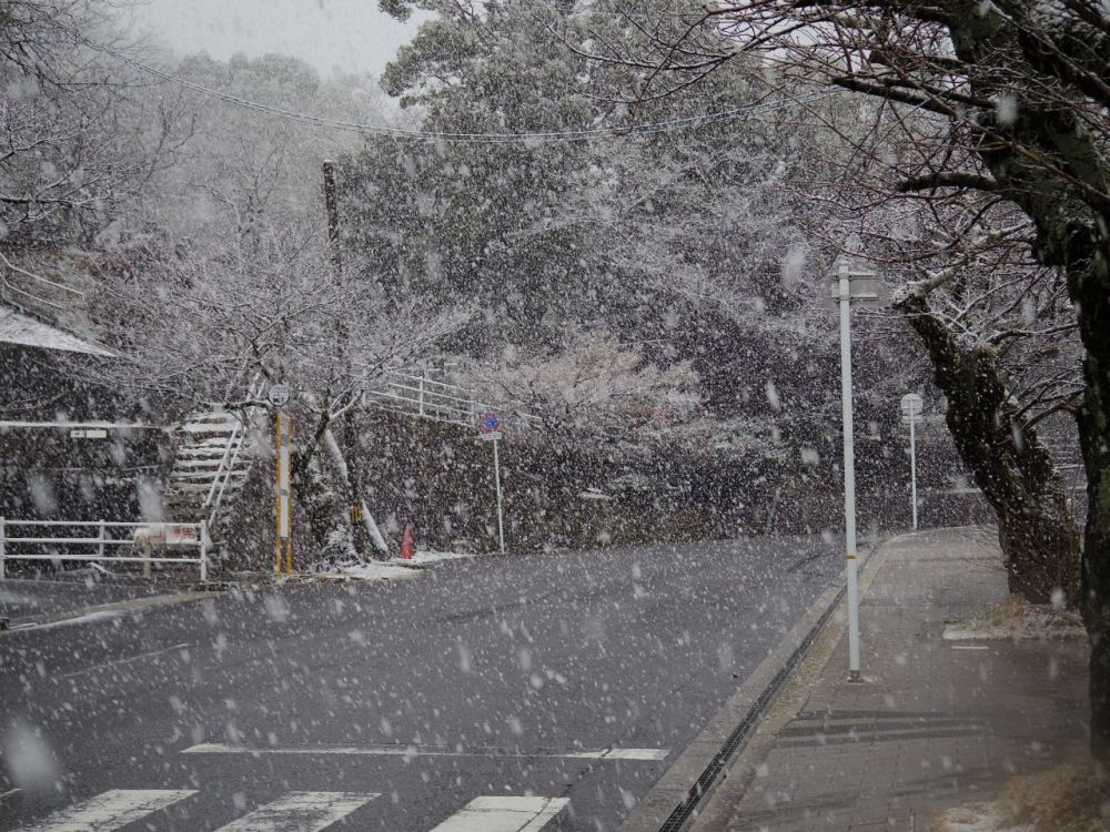f:id:asahipontax:20190126185954j:plain f:id:asahipontax:20190126185954j:plain