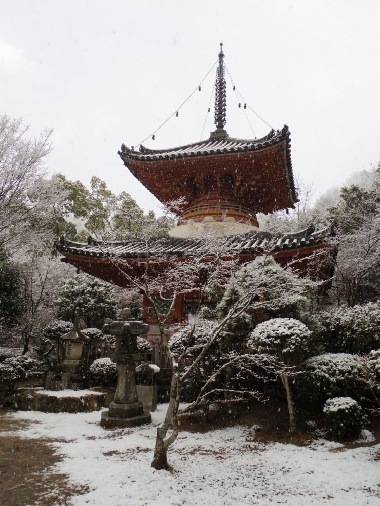 f:id:asahipontax:20190126190229j:plain f:id:asahipontax:20190126190229j:plain