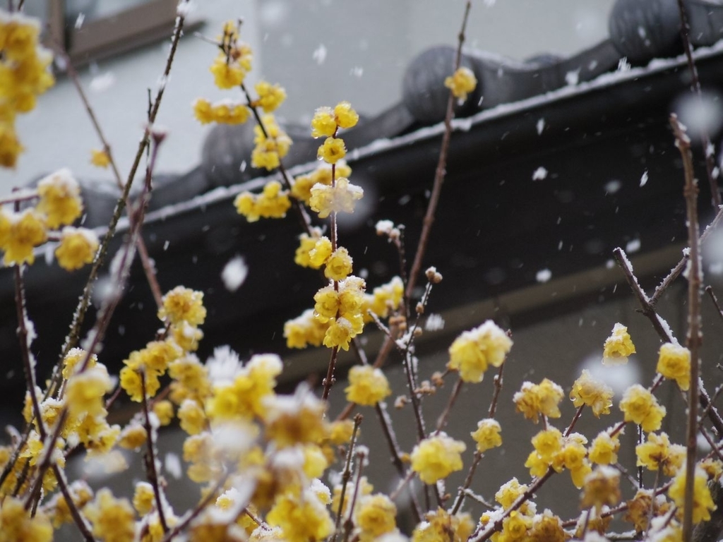 f:id:asahipontax:20190126190353j:plain f:id:asahipontax:20190126190353j:plain