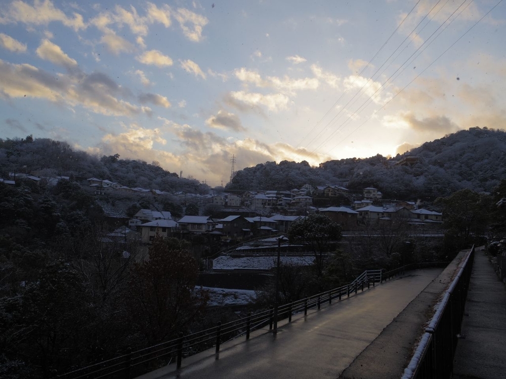 f:id:asahipontax:20190126190543j:plain f:id:asahipontax:20190126190543j:plain