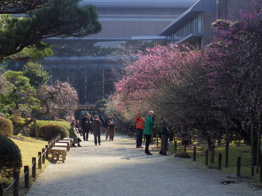 f:id:asahipontax:20190203123841j:plain