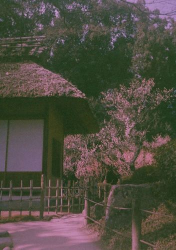 f:id:asahipontax:20190220220420j:plain
