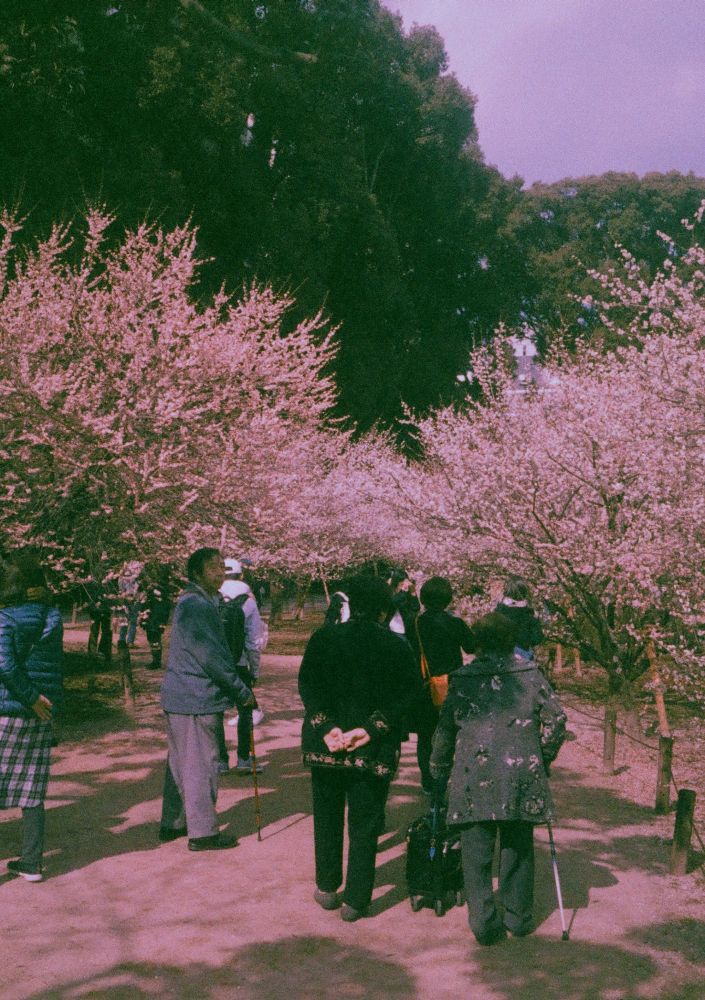 f:id:asahipontax:20190220220546j:plain