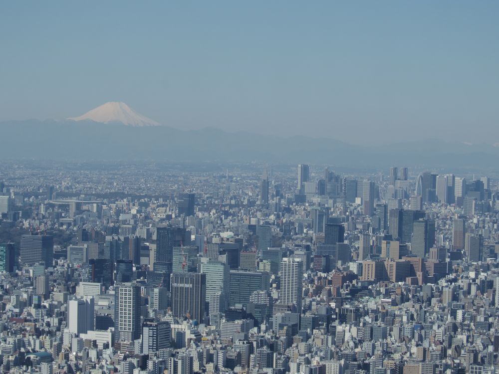 f:id:asahipontax:20190416015814j:plain