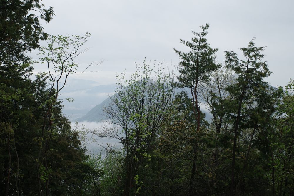 f:id:asahipontax:20190424204727j:plain