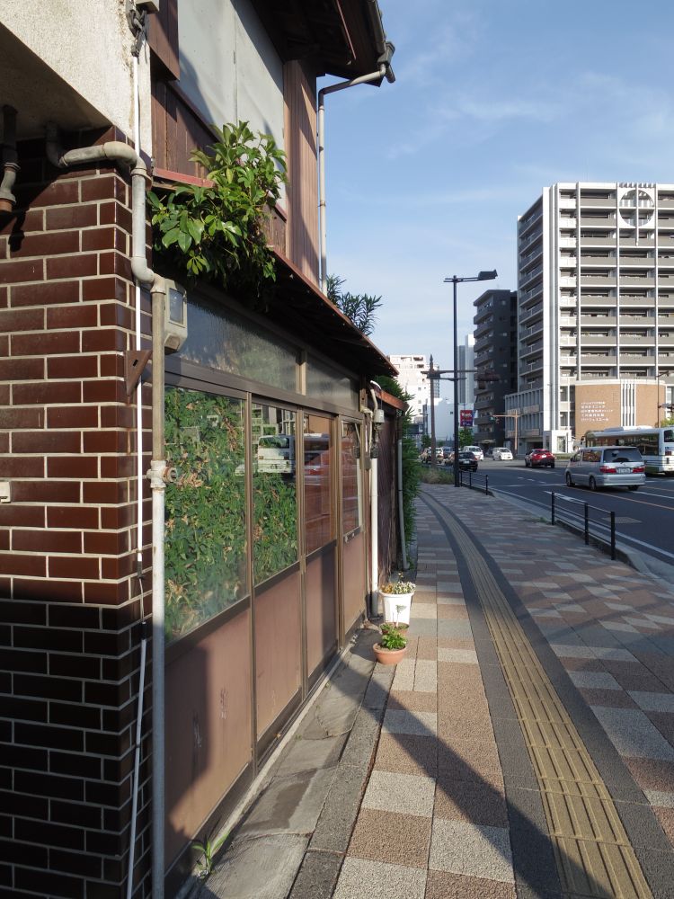 f:id:asahipontax:20190513072554j:plain