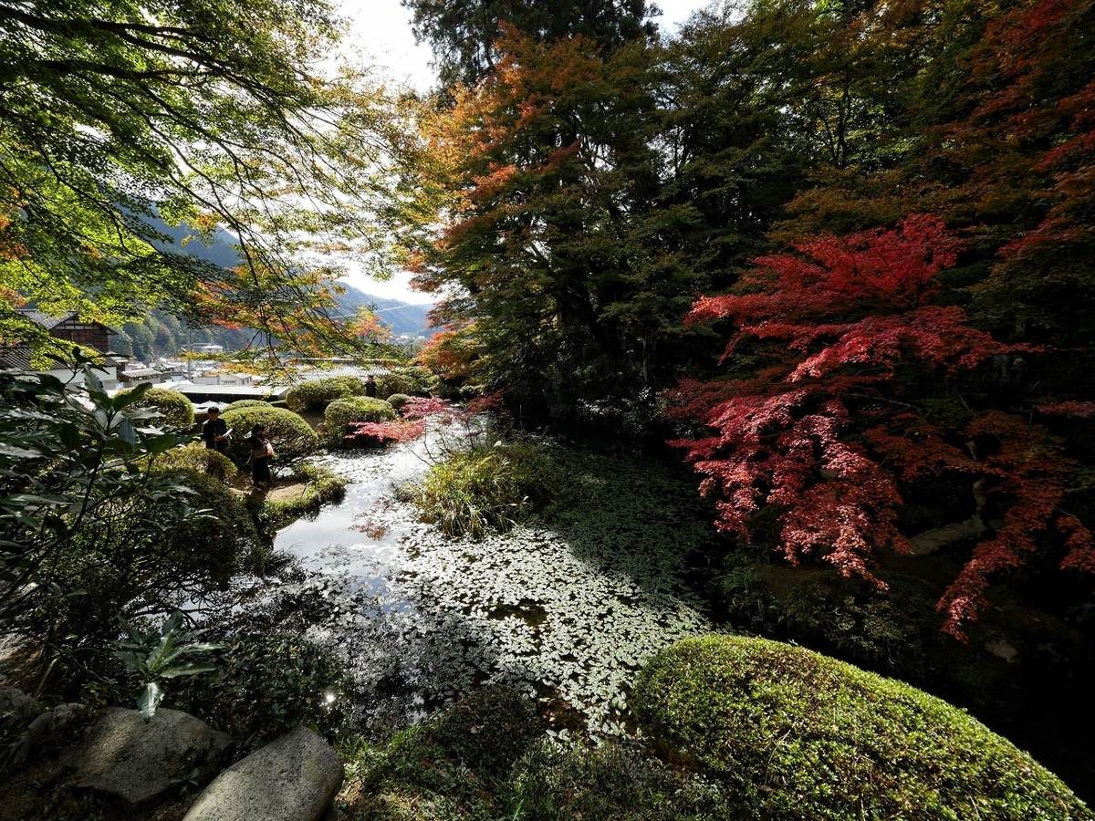 f:id:asahipontax:20191110220455j:plain