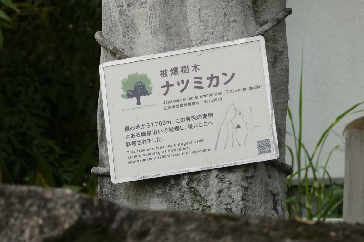 f:id:asahipontax:20200509224606j:plain