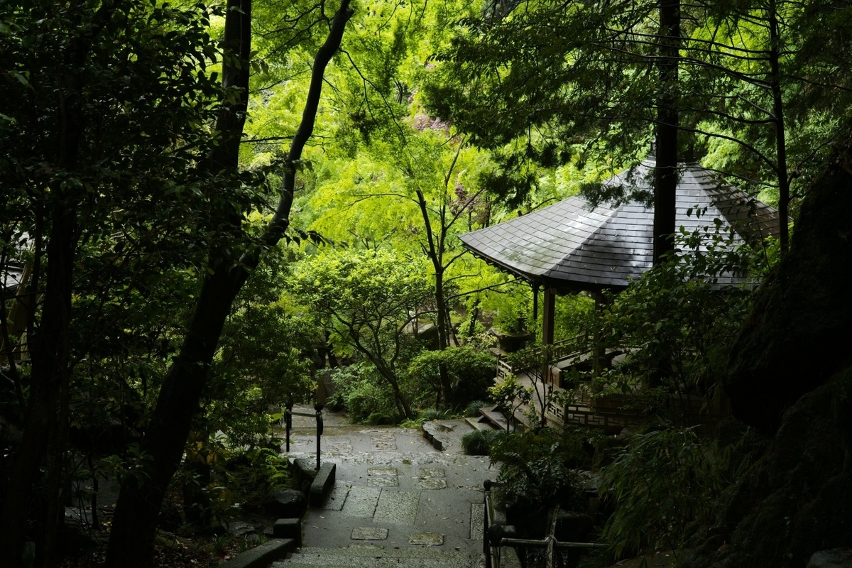 f:id:asahipontax:20200510211719j:plain