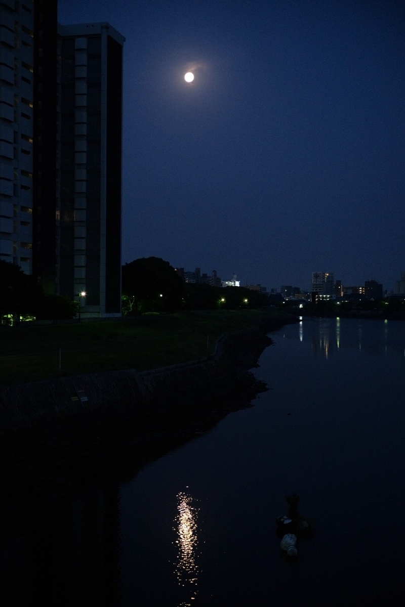 f:id:asahipontax:20200607164446j:plain f:id:asahipontax:20200607164446j:plain