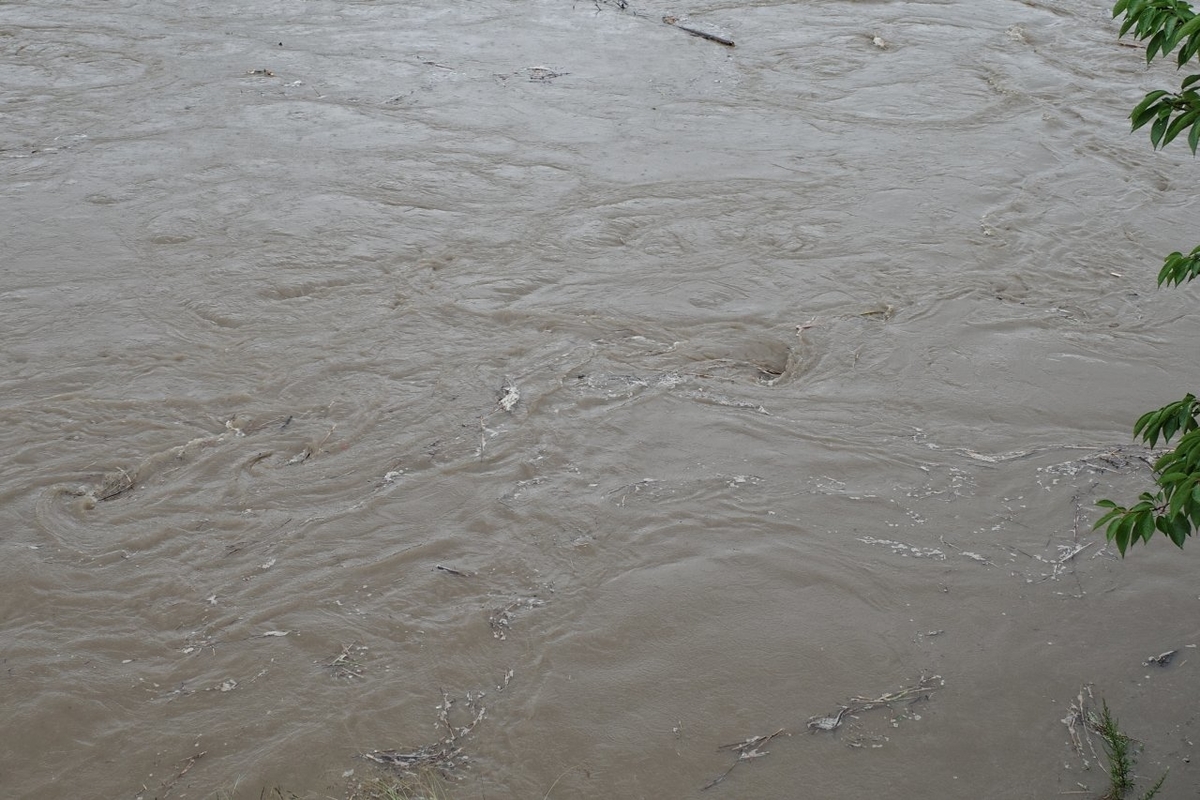 f:id:asahipontax:20200714091155j:plain