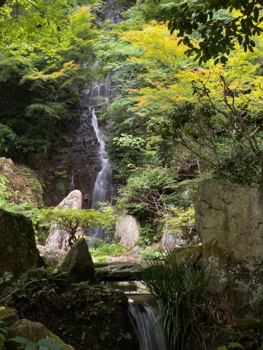 f:id:asahipontax:20200719172209j:plain f:id:asahipontax:20200719172209j:plain