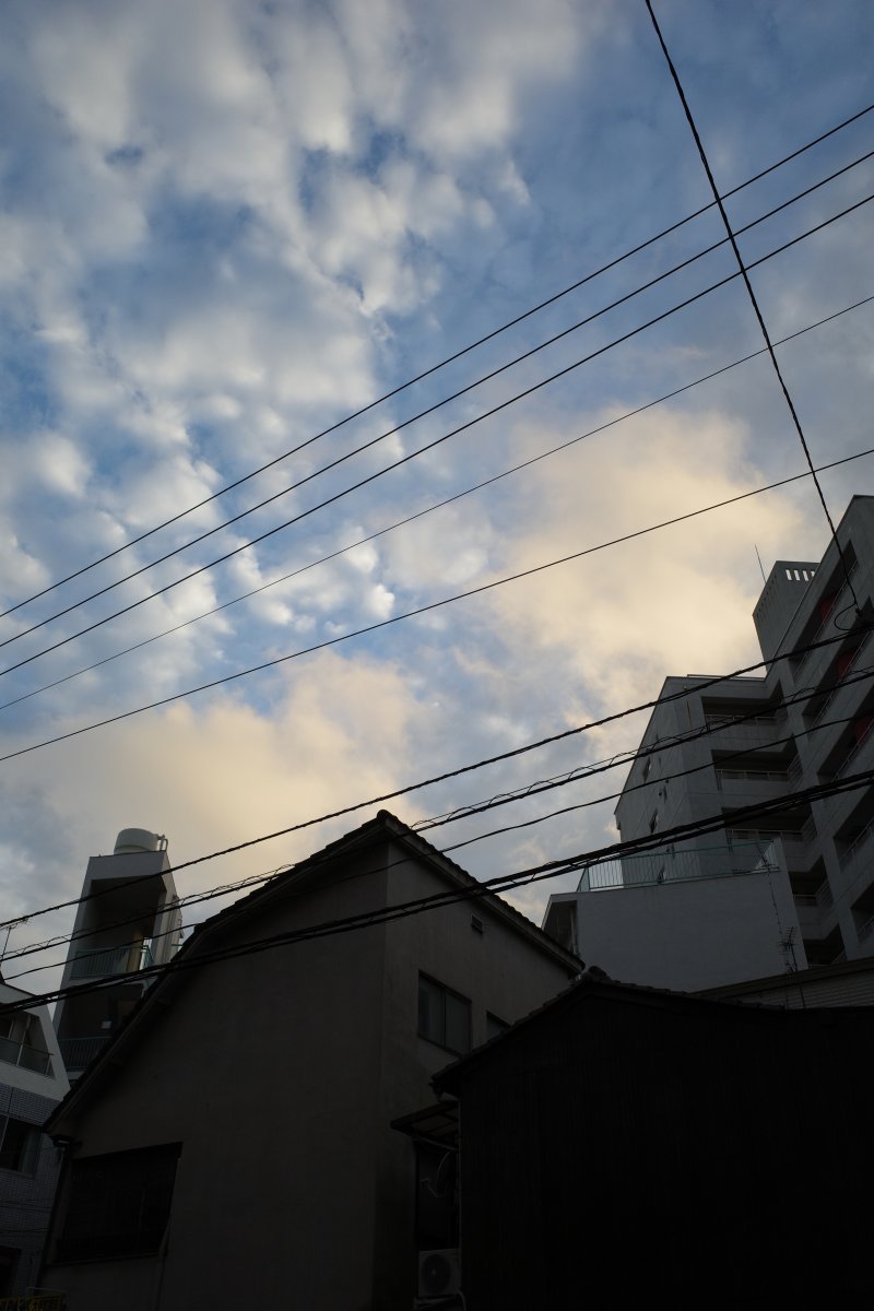 f:id:asahipontax:20200729230800j:plain
