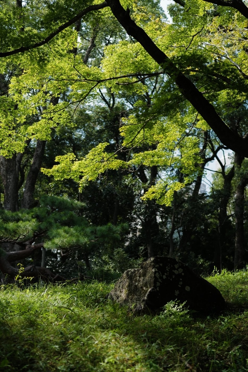 f:id:asahipontax:20200822230219j:plain