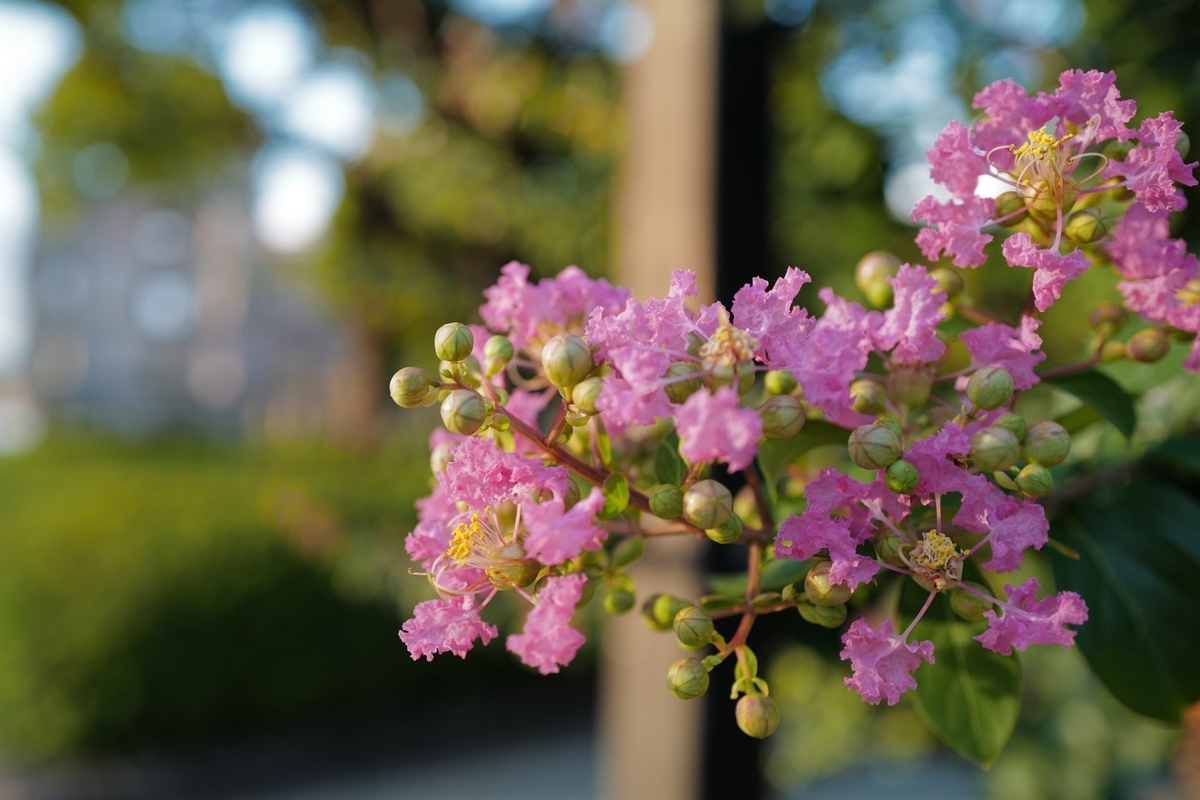 f:id:asahipontax:20200826205911j:plain