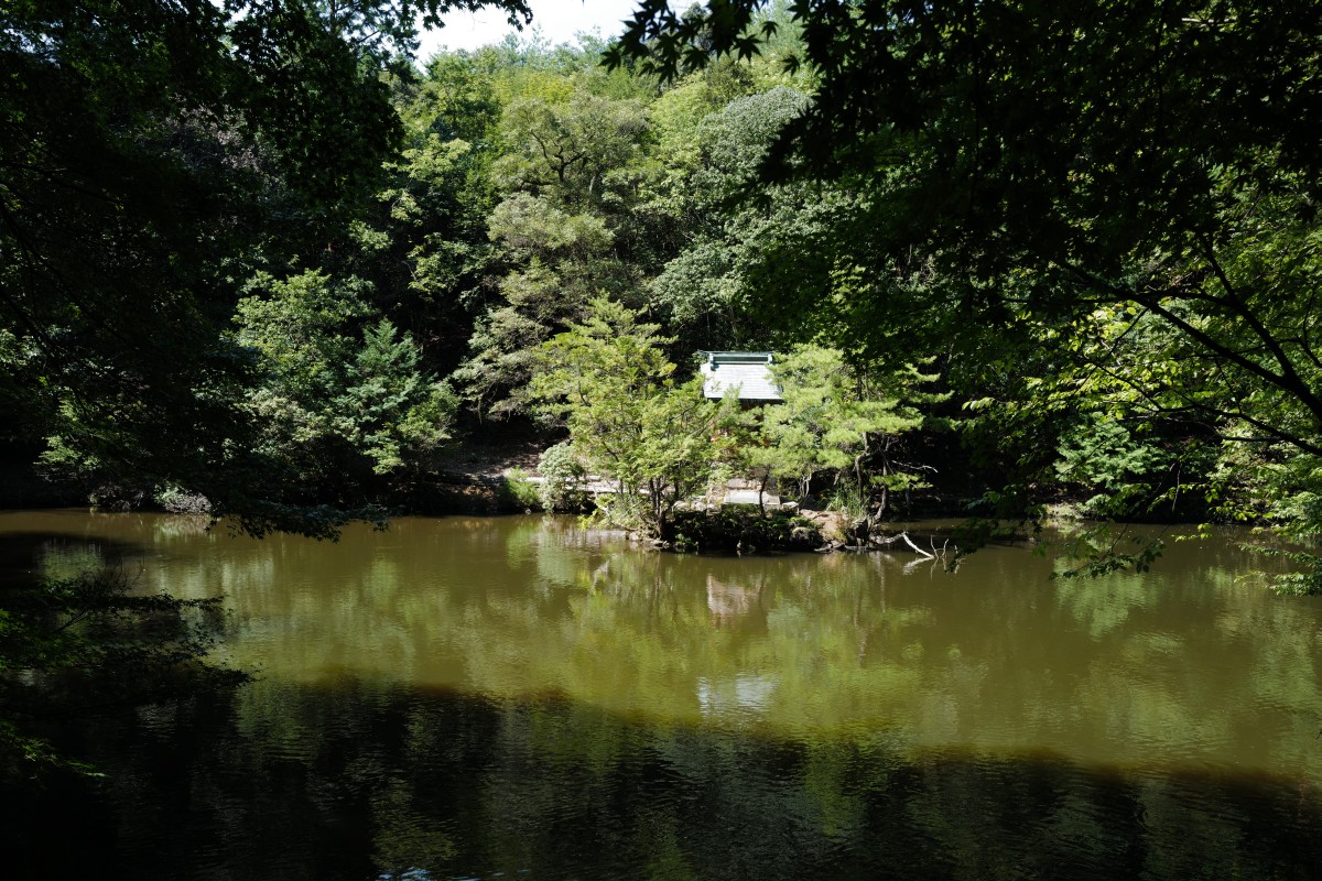 f:id:asahipontax:20200919224502j:plain