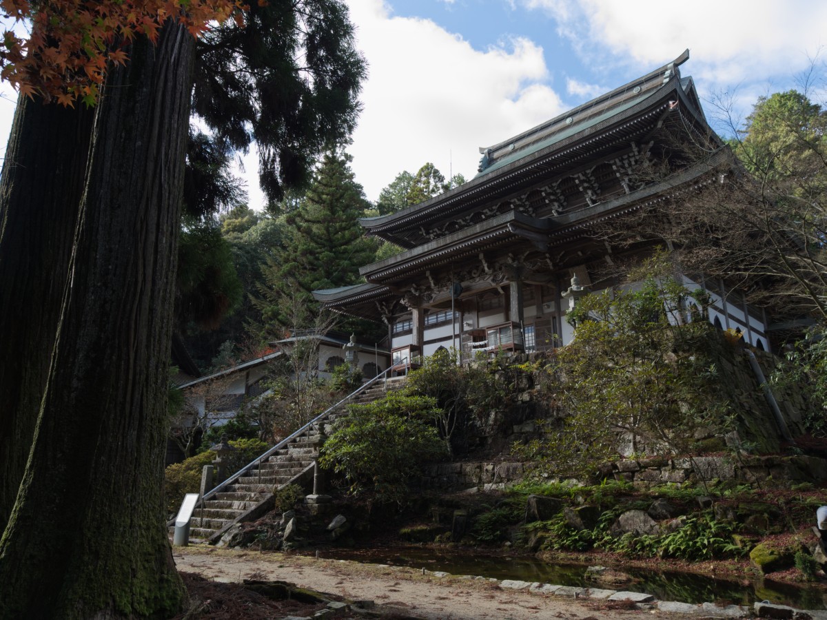 f:id:asahipontax:20201122125025j:plain