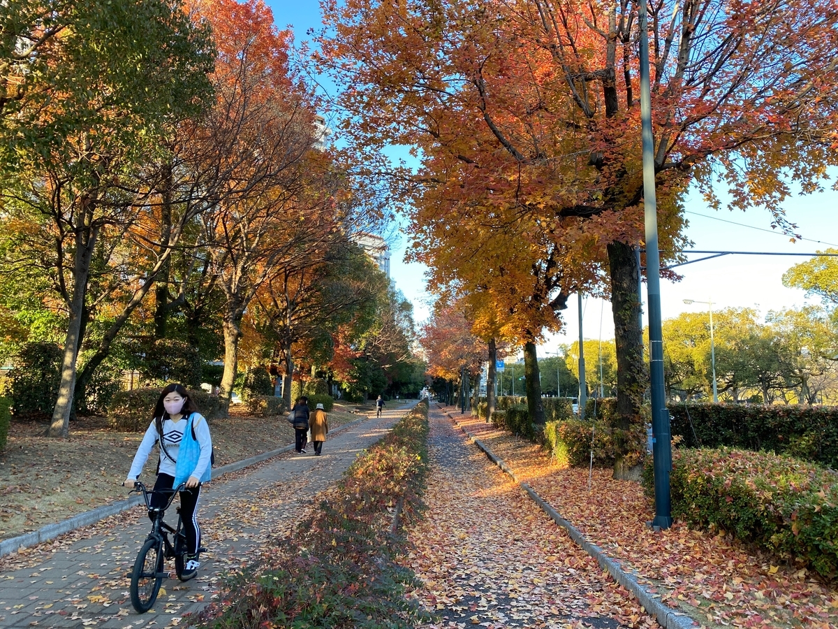f:id:asahipontax:20201228202216j:plain