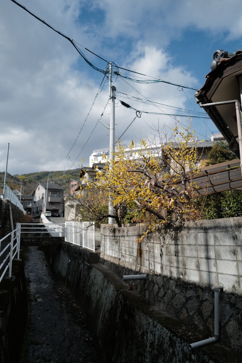 f:id:asahipontax:20210119001221j:plain
