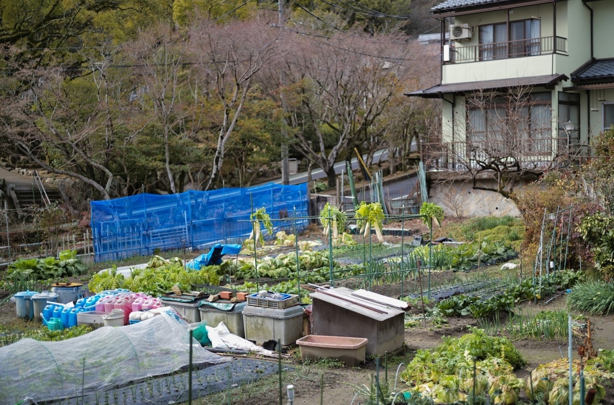f:id:asahipontax:20210124221349j:plain