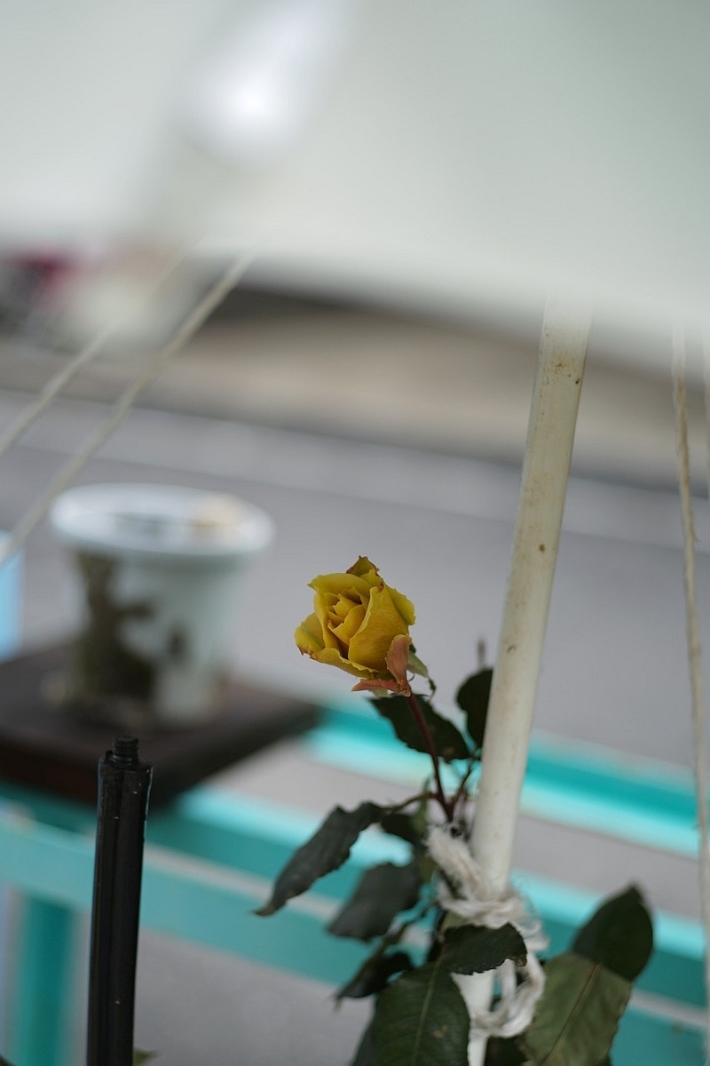 f:id:asahipontax:20210124221829j:plain