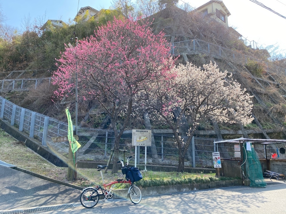 f:id:asahipontax:20210221144539j:plain