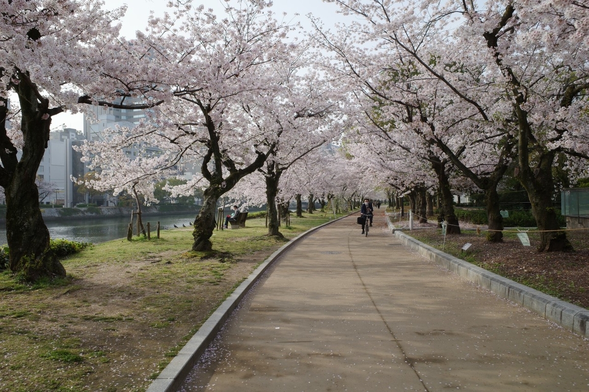 f:id:asahipontax:20210331165513j:plain